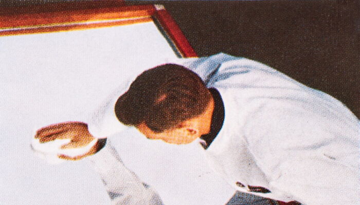 meticulous visual inspection